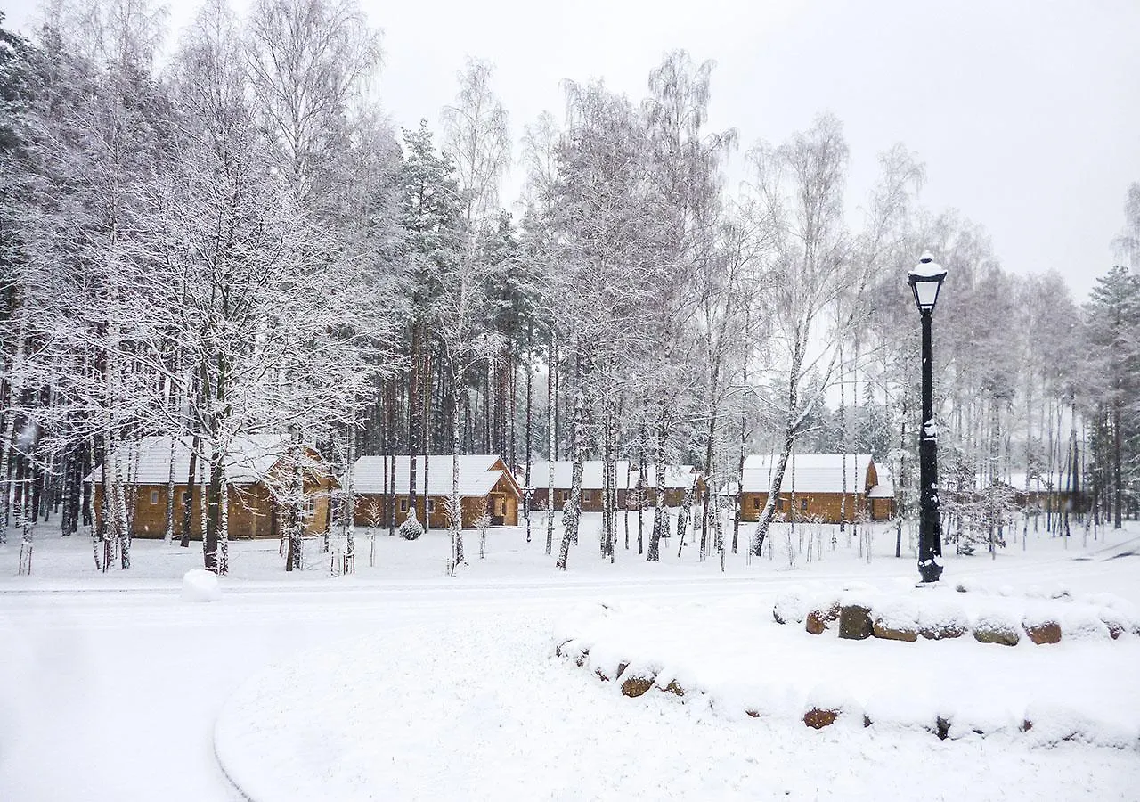 Green Park Hotel Airport Minsk Silichy